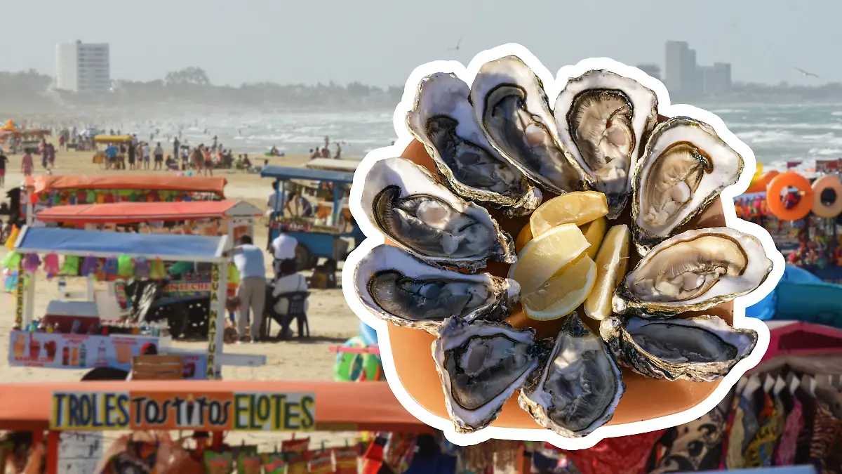 Medidas portada notas El Sol de Tampico - 2026-03-20T112826.097