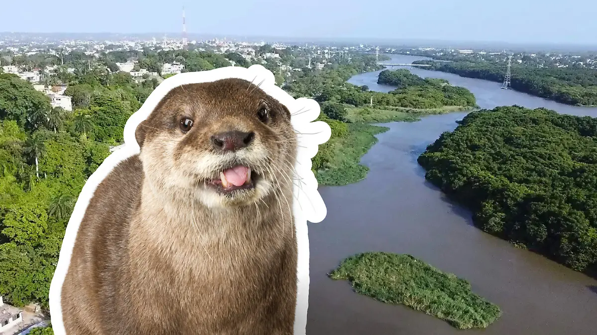 Medidas portada notas El Sol de Tampico - 2026-03-23T112433.436