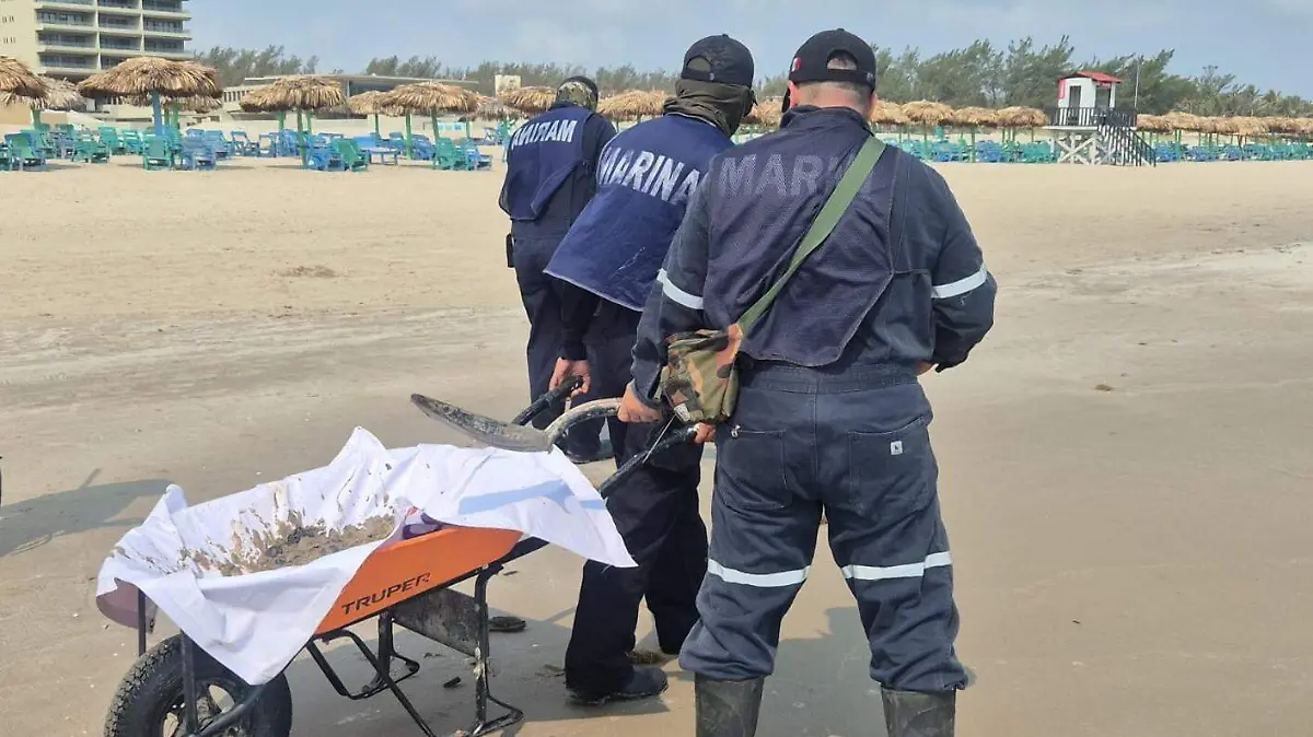 WhatsApp Image 2026-03-25 at 8.22.49 AM (1)