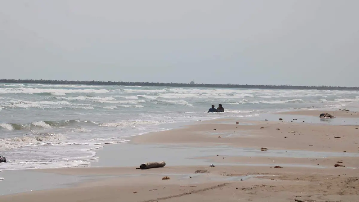 WhatsApp Image 2026-03-24 at 16.41.10