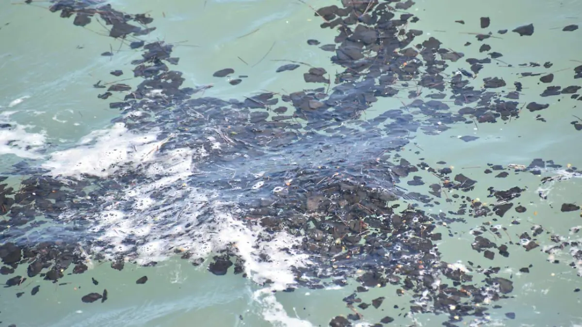 WhatsApp Image 2026-03-26 at 4.34.15 PM (1)