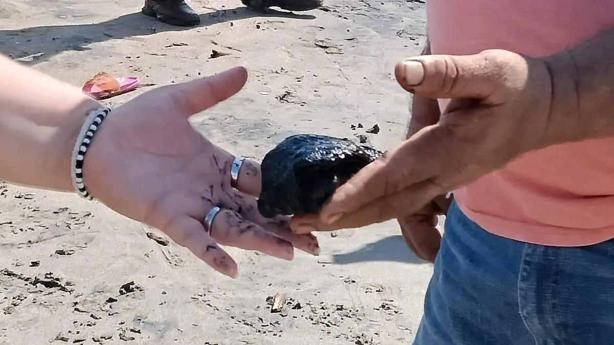 WhatsApp Image 2026-03-26 at 7.10.56 PM