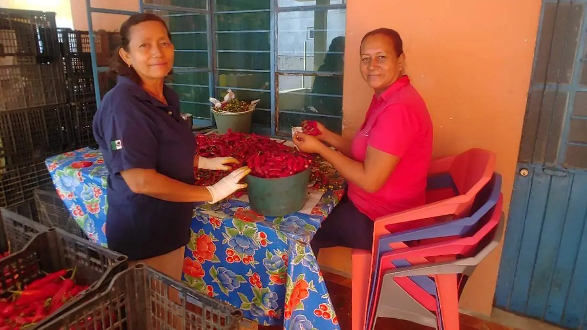 El proceso de elaboración de la salsa es manual para conservar el sazón original de 1930
