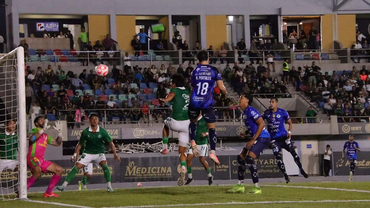 WhatsApp Image 2026-03-27 at 11.00.45 PM