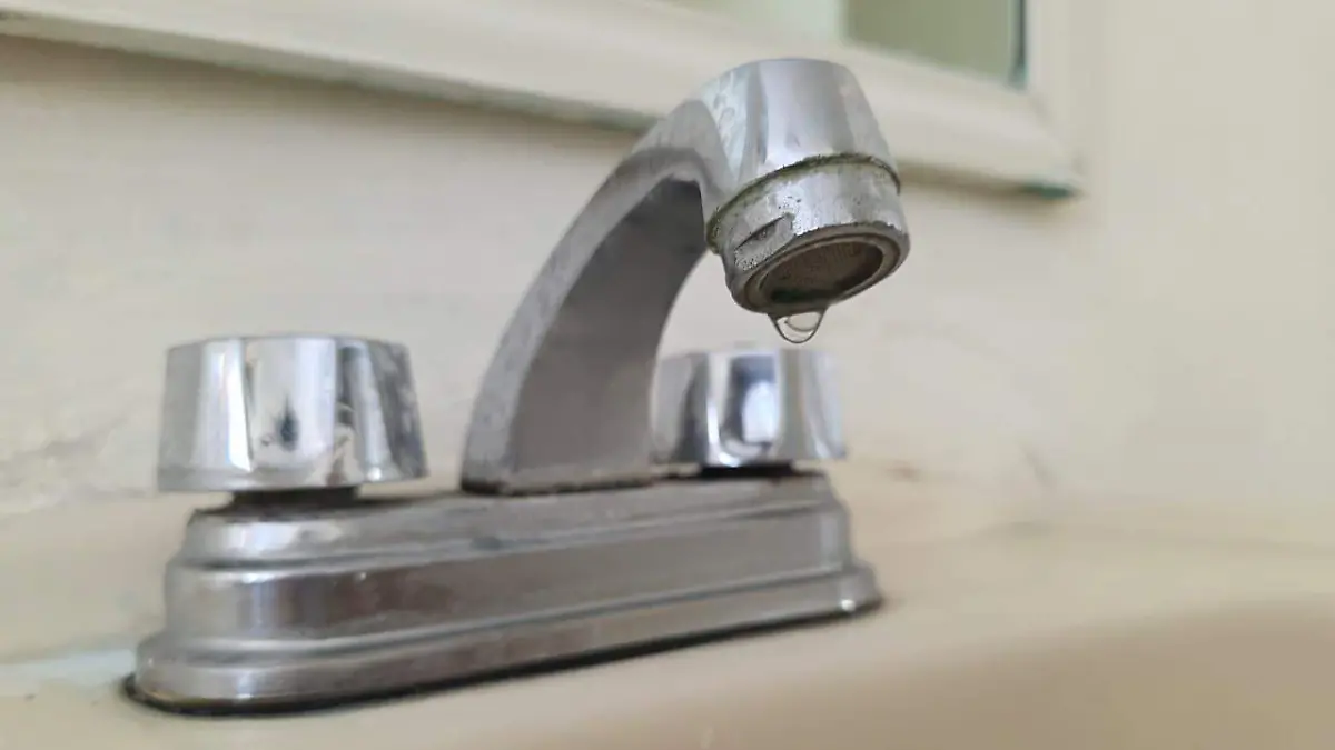 WhatsApp Image 2026-03-29 at 09.59.48