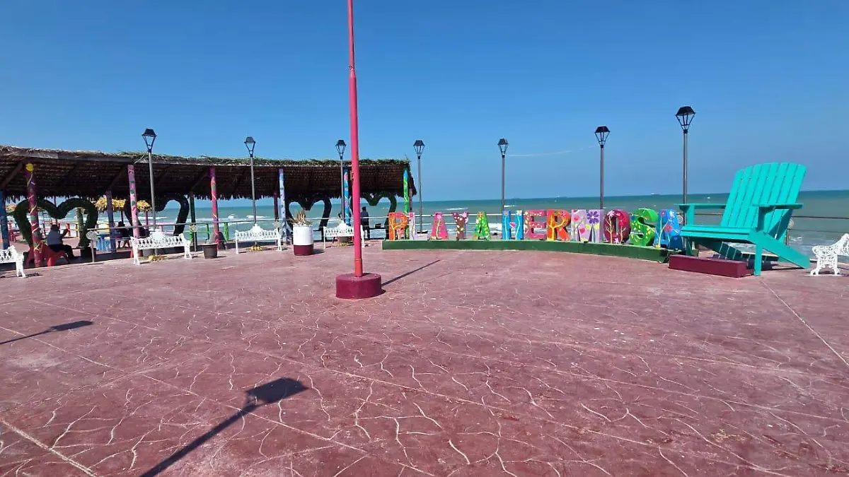 WhatsApp Image 2026-03-31 at 11.29.00