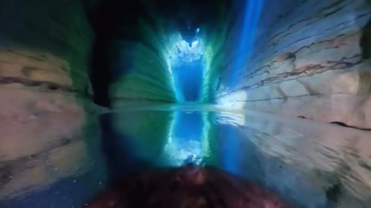 WhatsApp Image 2026-03-31 at 8.53.34 PM