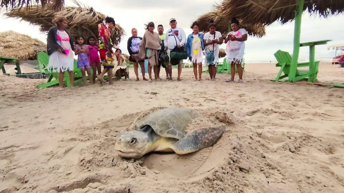 WhatsApp Image 2026-04-05 at 17.53.30