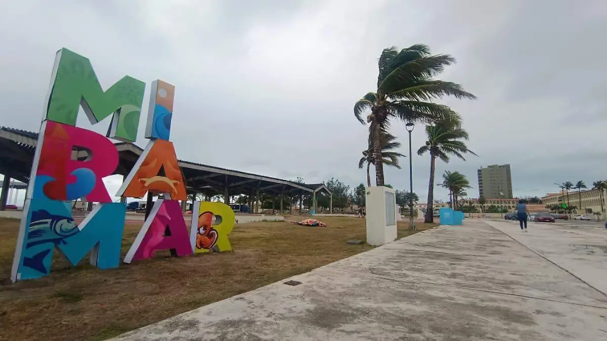 WhatsApp Image 2026-04-05 at 13.10.53