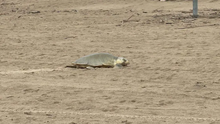 WhatsApp Image 2026-04-06 at 18.31.48