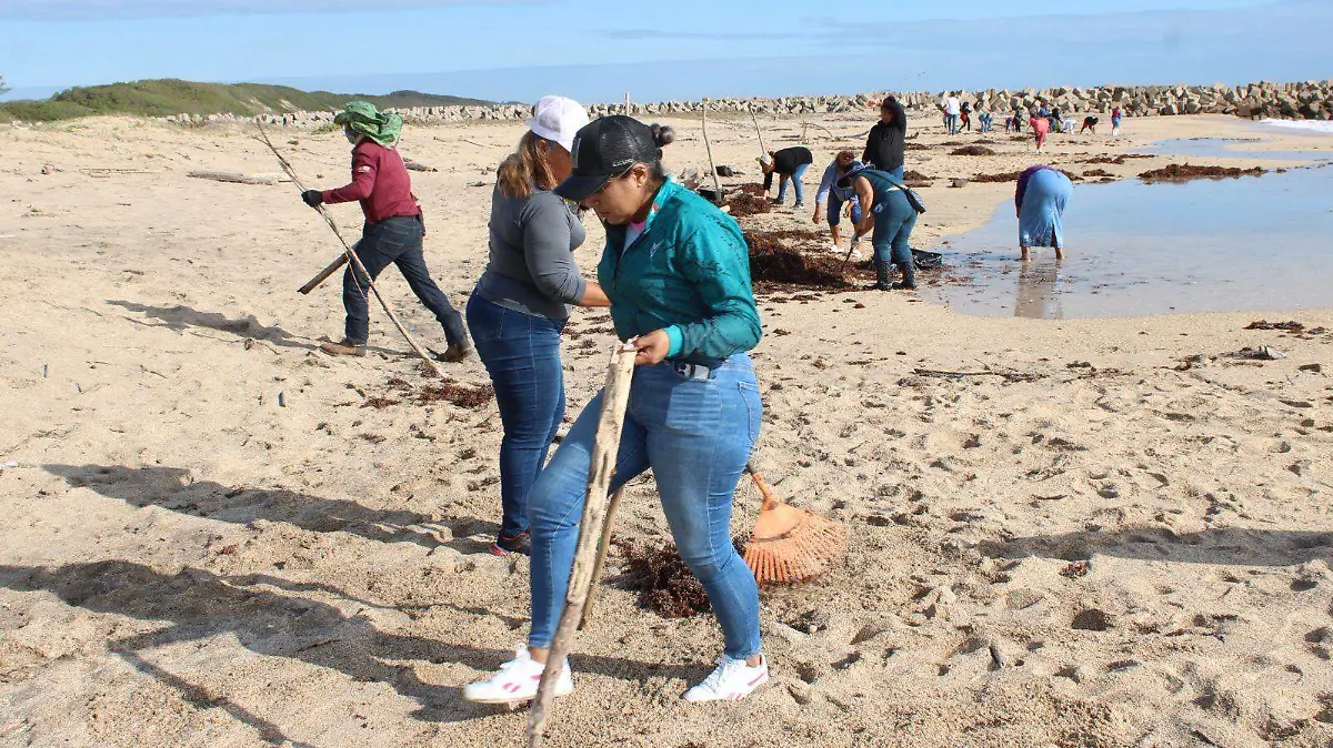 Personal del Ayuntamiento coordina trabajos de contención del hidrocarburo para reducir el impacto ambiental en la línea de playa