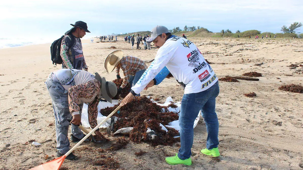Las acciones buscan salvaguardar el turismo y las actividades económicas que dependen del litoral de Tampico Alto