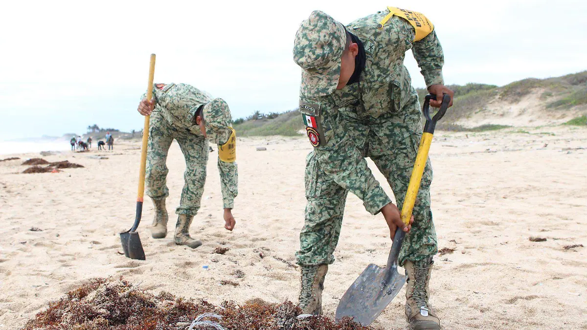 667838972_1253761096945408_1645805052390523374_n