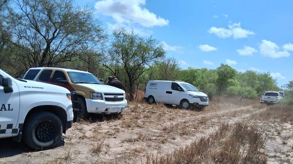 WhatsApp Image 2026-04-03 at 4.09.12 PM