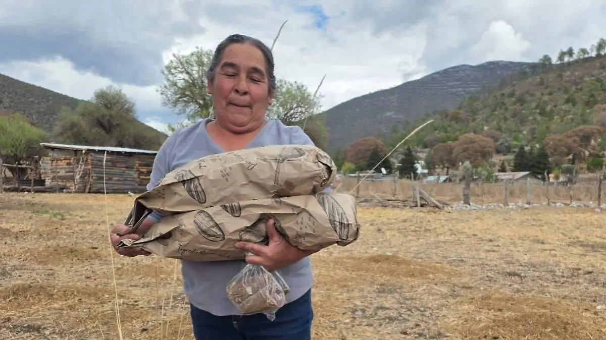 Miquihuana se asegura de que a nadie le falte el postre esta semana