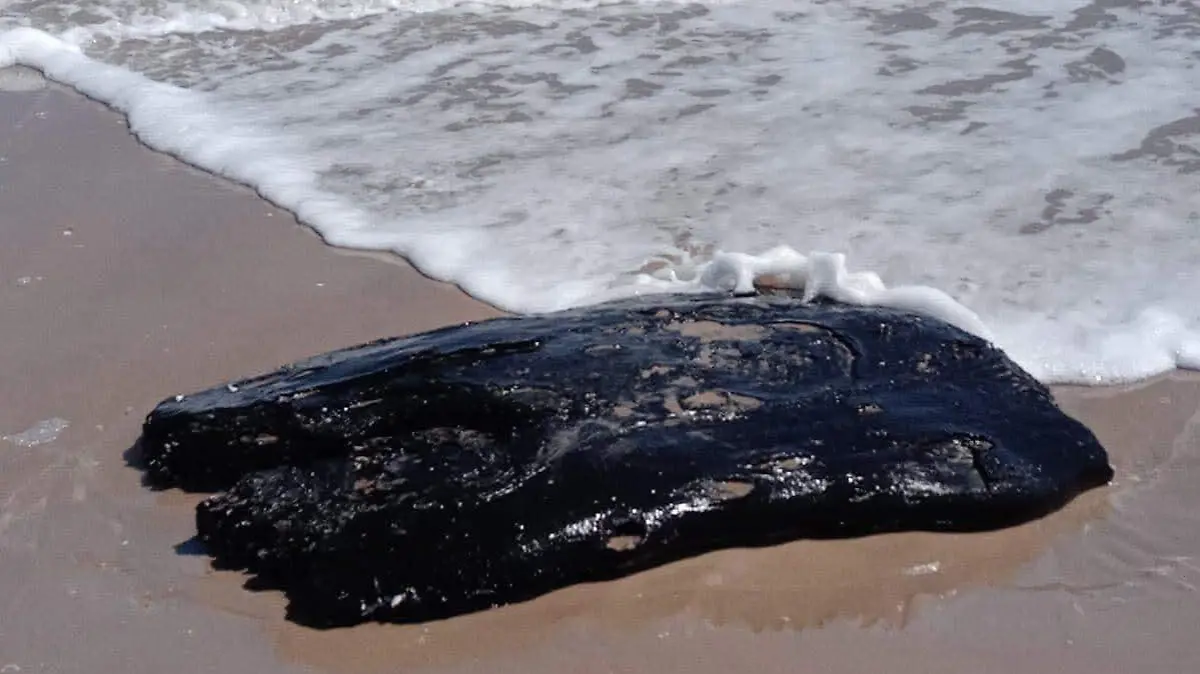 WhatsApp Image 2026-04-08 at 9.05.38 PM