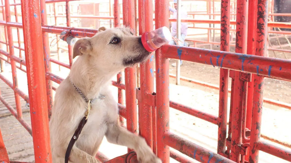 WhatsApp Image 2026-04-08 at 7.19.56 PM