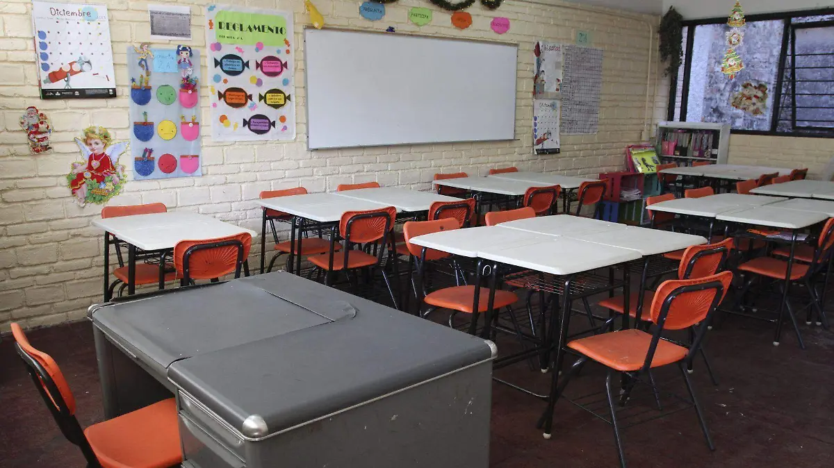 536060_Regreso a clases Primaria_web