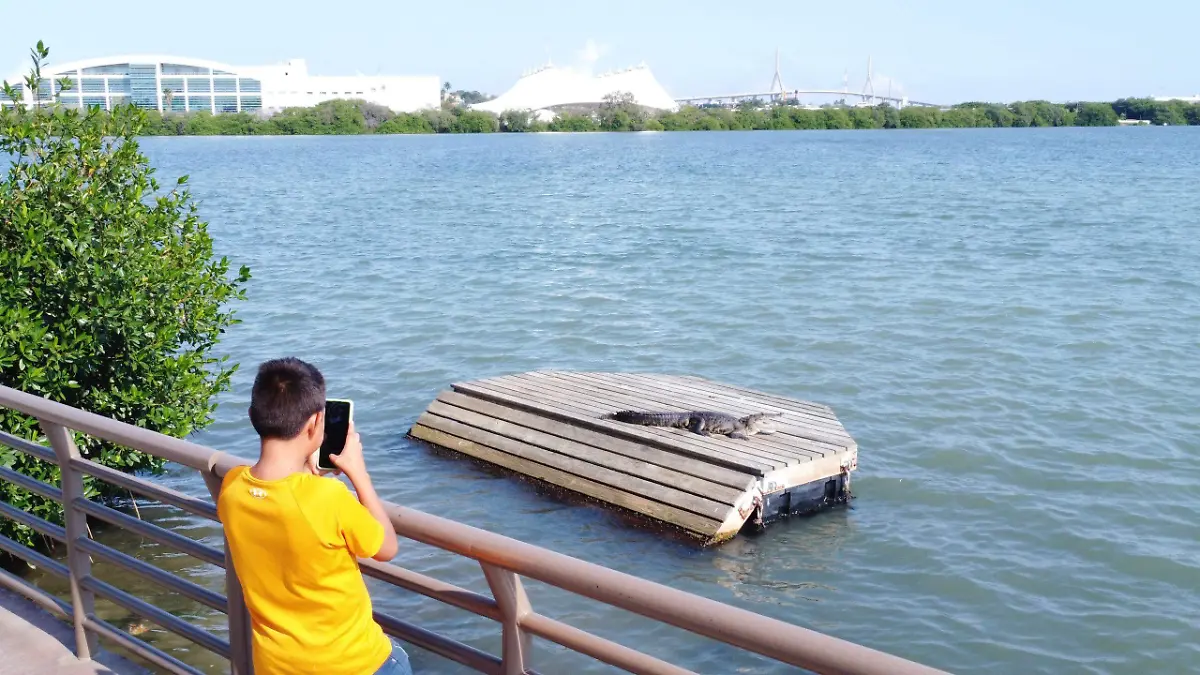 WhatsApp Image 2026-04-10 at 2.01.04 PM