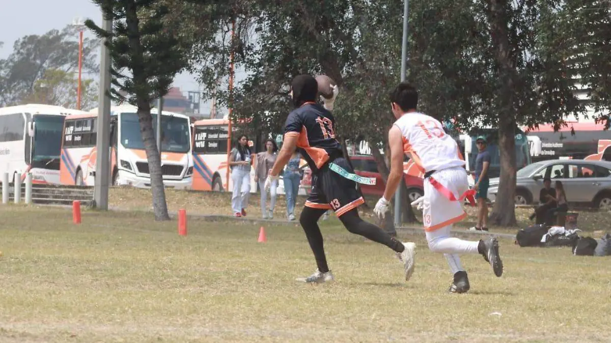 WhatsApp Image 2026-04-13 at 22.27.27