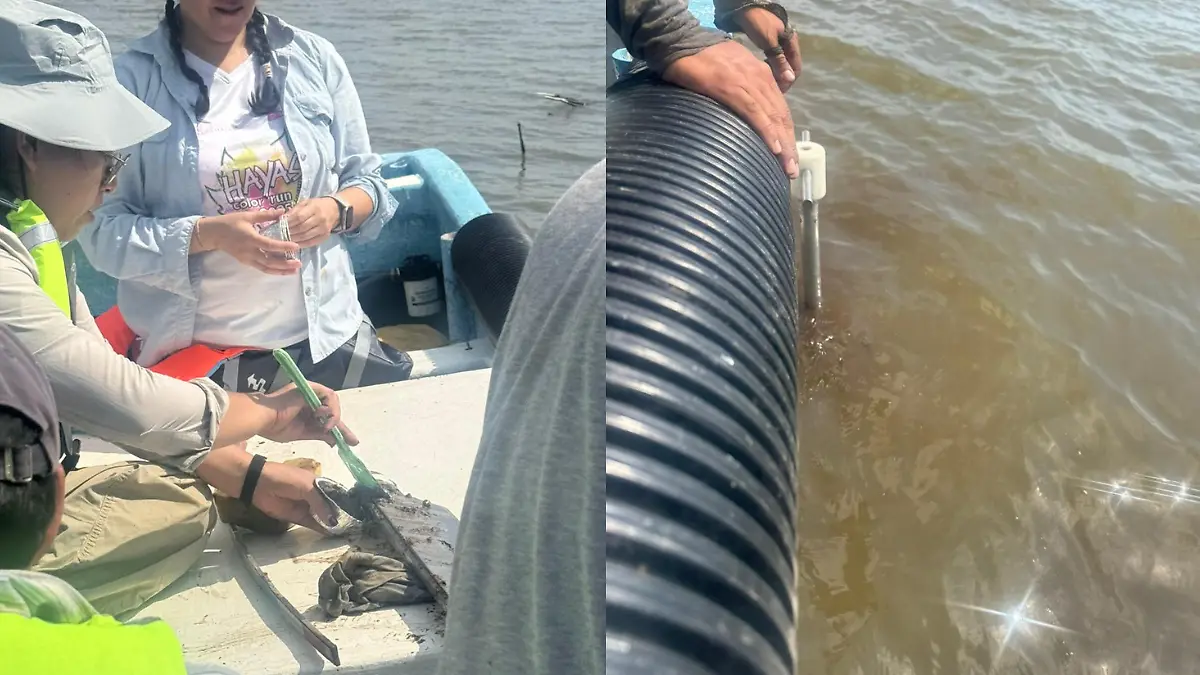 Medidas portada notas El Sol de Tampico - 2026-04-15T103226.609