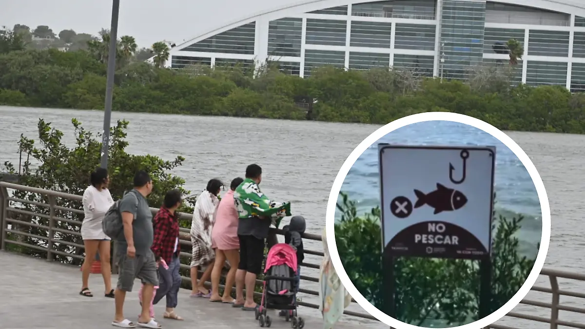 Medidas portada notas El Sol de Tampico - 2026-04-16T095534.478