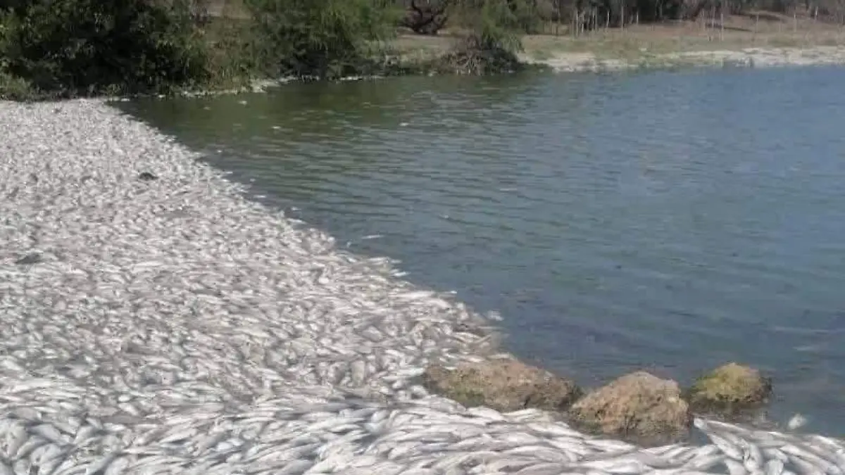 WhatsApp Image 2026-04-16 at 1.12.00 PM