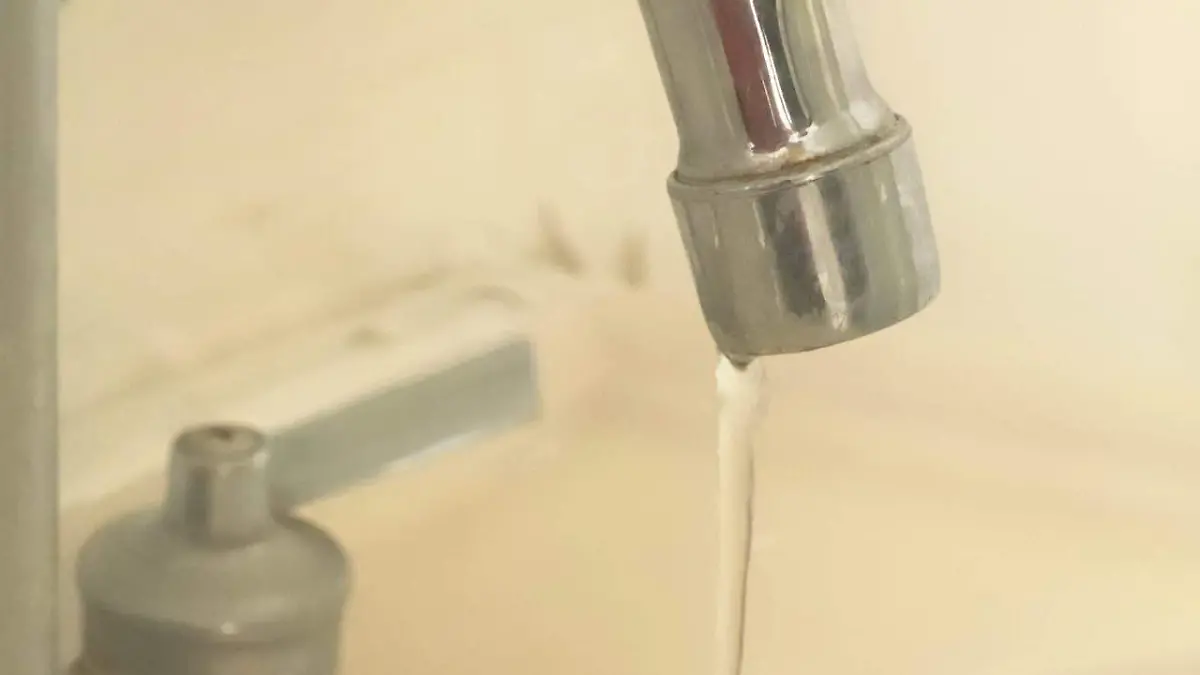 WhatsApp Image 2026-04-17 at 17.57.59