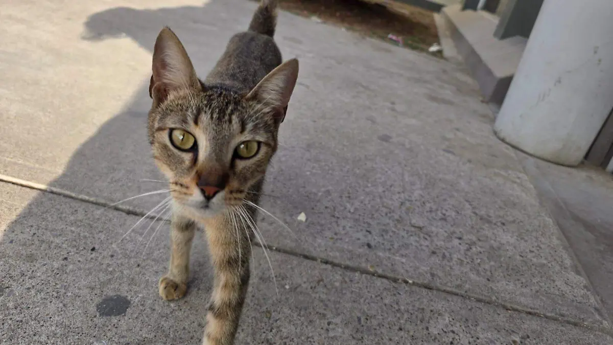 WhatsApp Image 2026-04-18 at 10.43.01