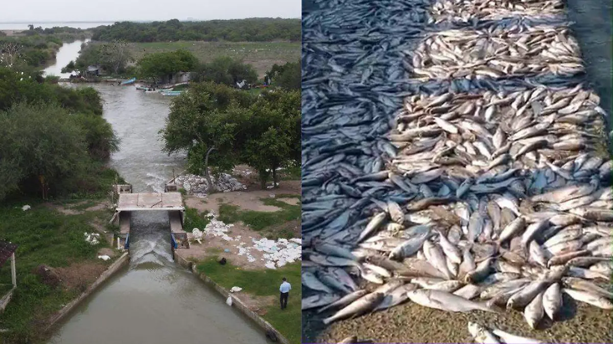 FOTOS DE TAMAÑO (6)