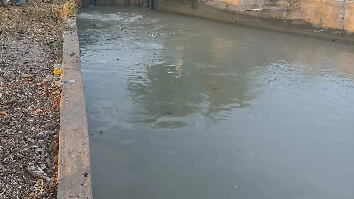 WhatsApp Image 2026-04-17 at 6.40.20 PM