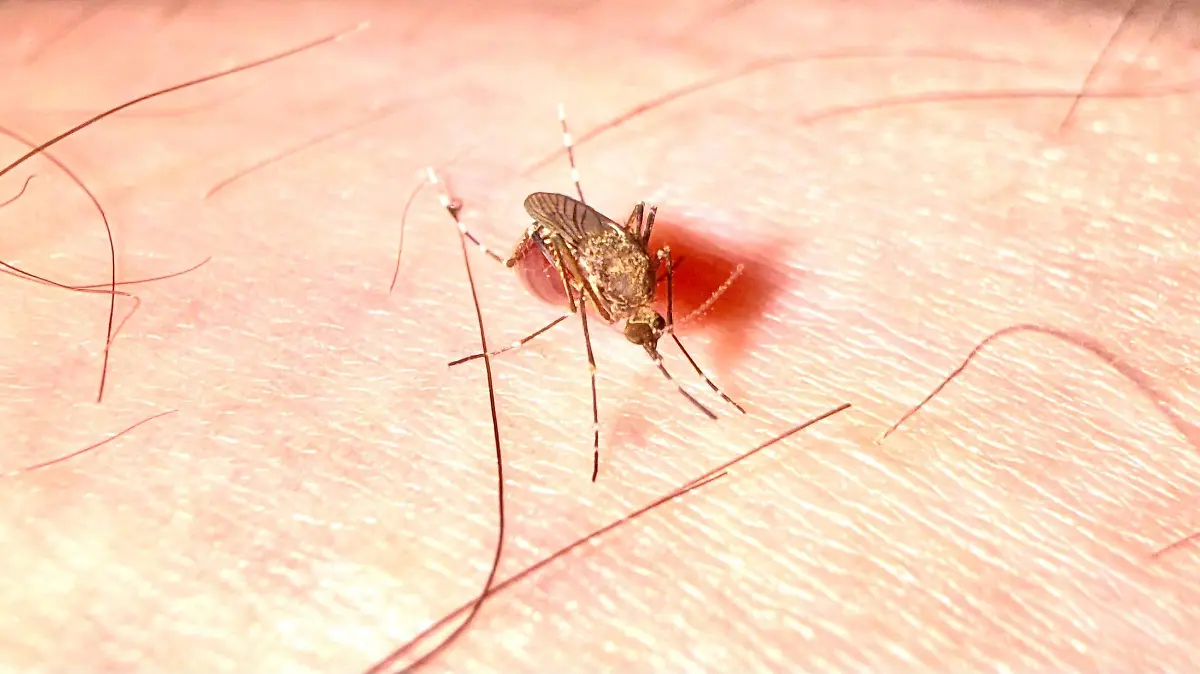 WhatsApp Image 2026-04-20 at 9.24.58 AM