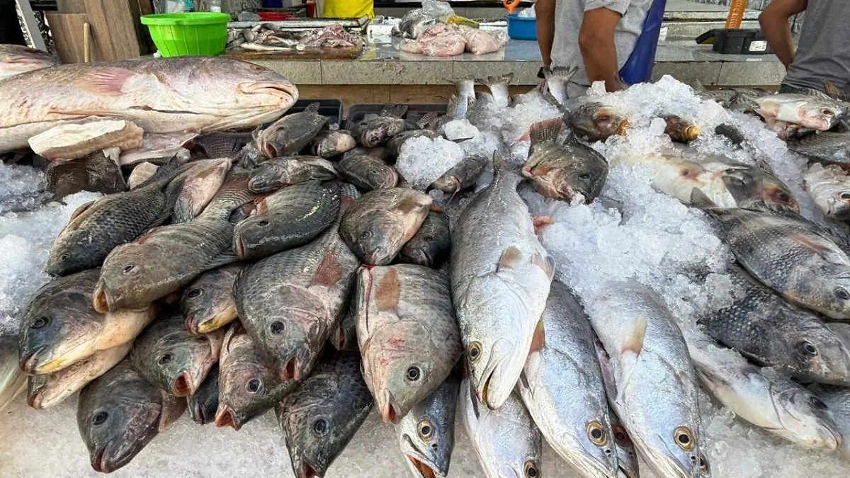 Coepris aseguró que se mantiene en alerta, aunque es poco probable que las personas consuman este producto
