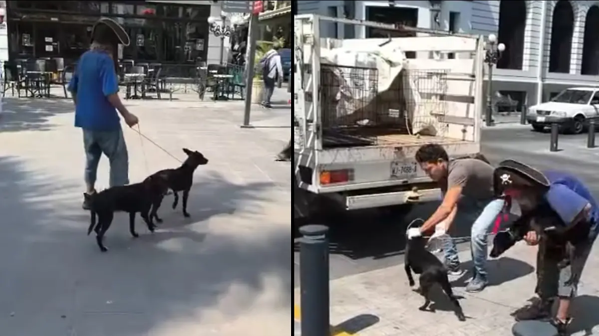 El Pirata de Tampico se despidió de sus perritos para que tengan una mejor vida