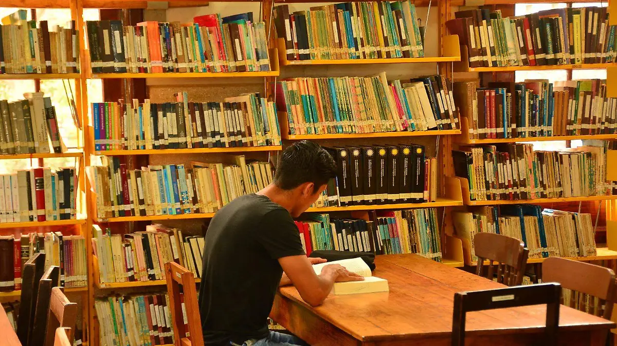 WhatsApp Image 2026-04-20 at 2.36.57 PM