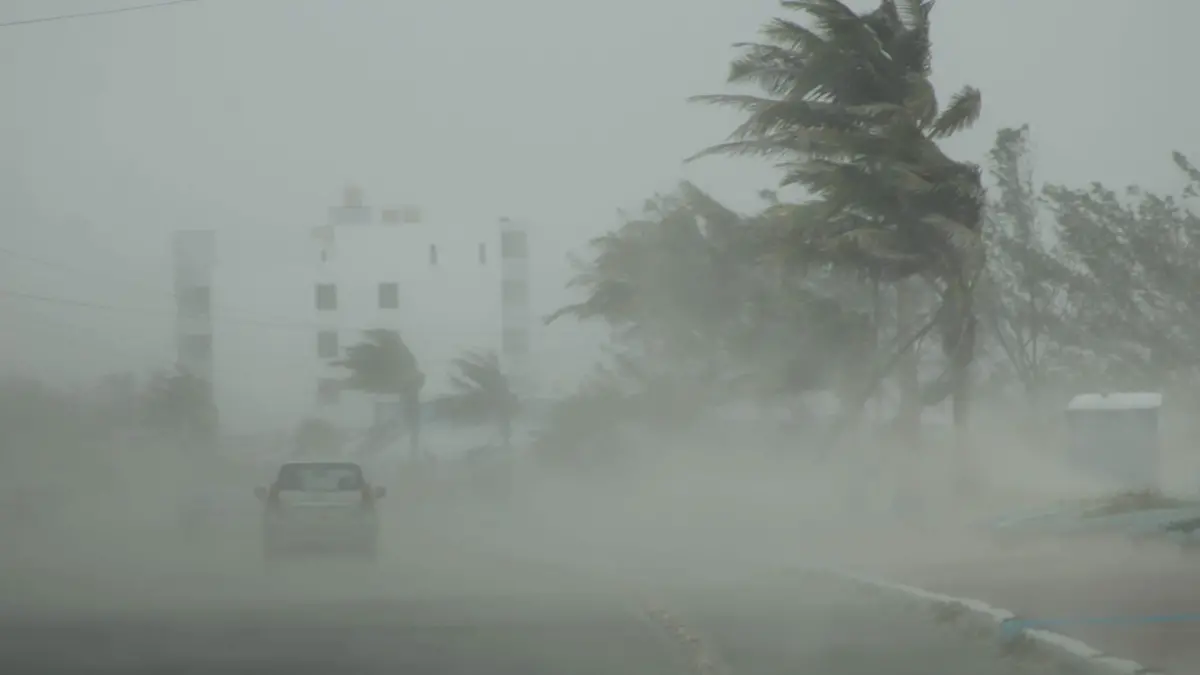 WhatsApp Image 2026-04-22 at 8.29.35 PM (1)