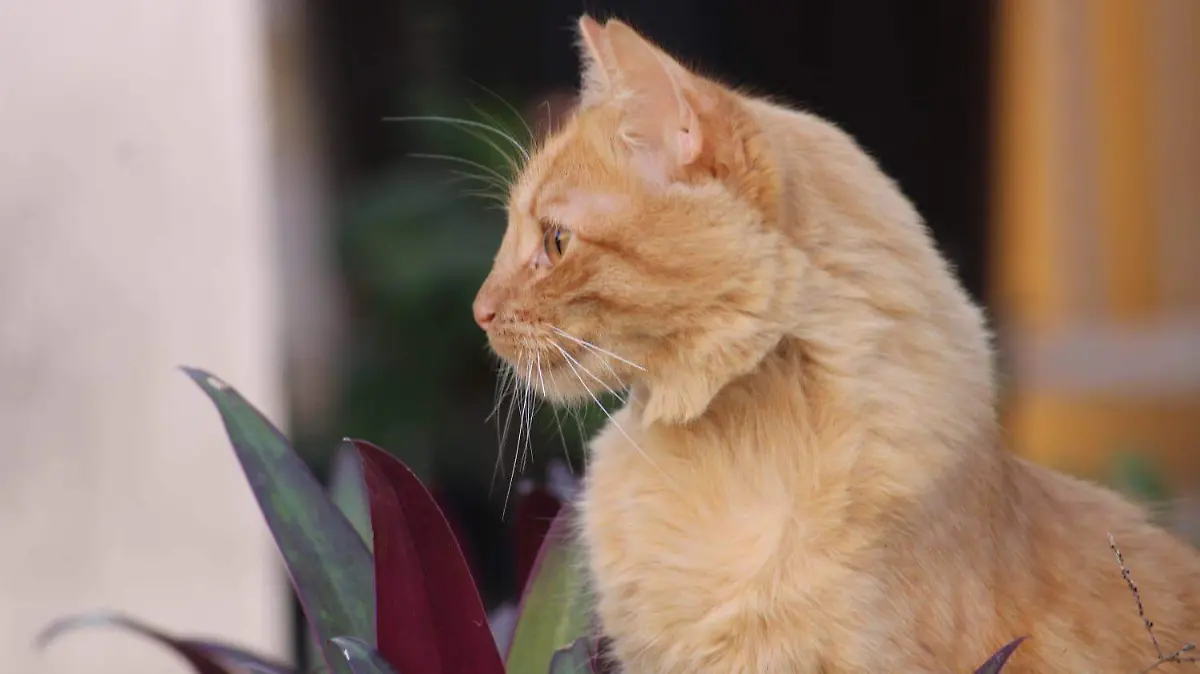 WhatsApp Image 2026-04-23 at 19.13.43