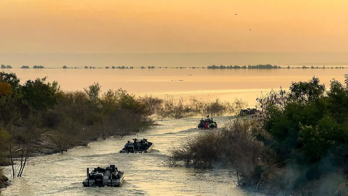 Sábalo, lobina, marlin son algunas de las especies que se capturan en Tamaulipas. Cortesía, Comisión estatal de Caza y Pesca Deportiva de Tamaulipas