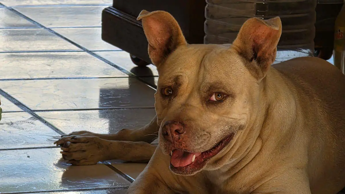 WhatsApp Image 2026-04-25 at 14.42.56