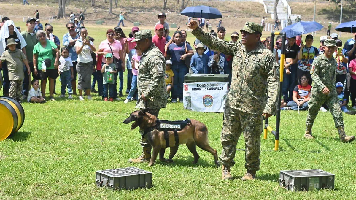 WhatsApp Image 2026-04-26 at 11.25.34