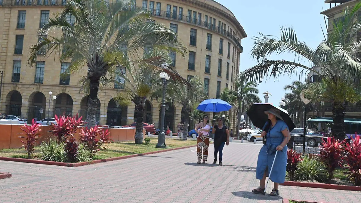 WhatsApp Image 2026-04-27 at 12.54.14 PM