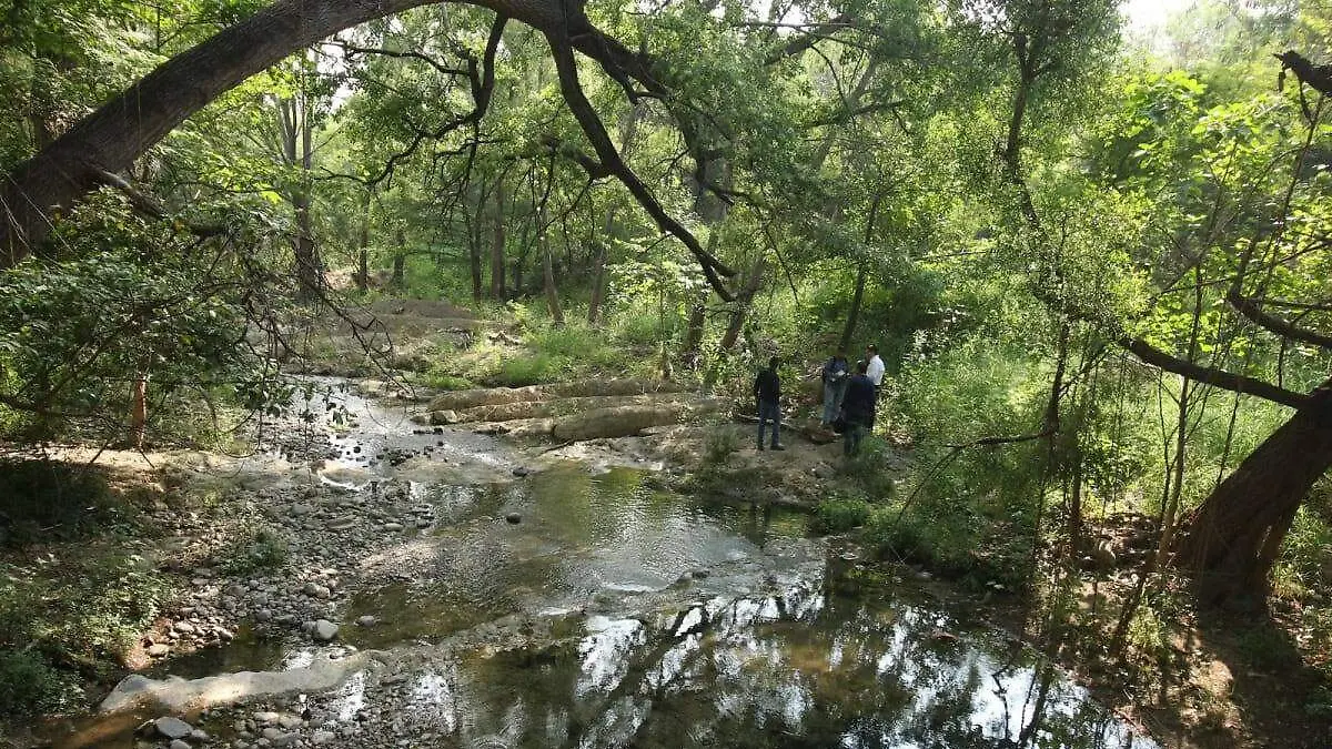 Un río de Tamaulipas ha sufrido por especies invasoras
