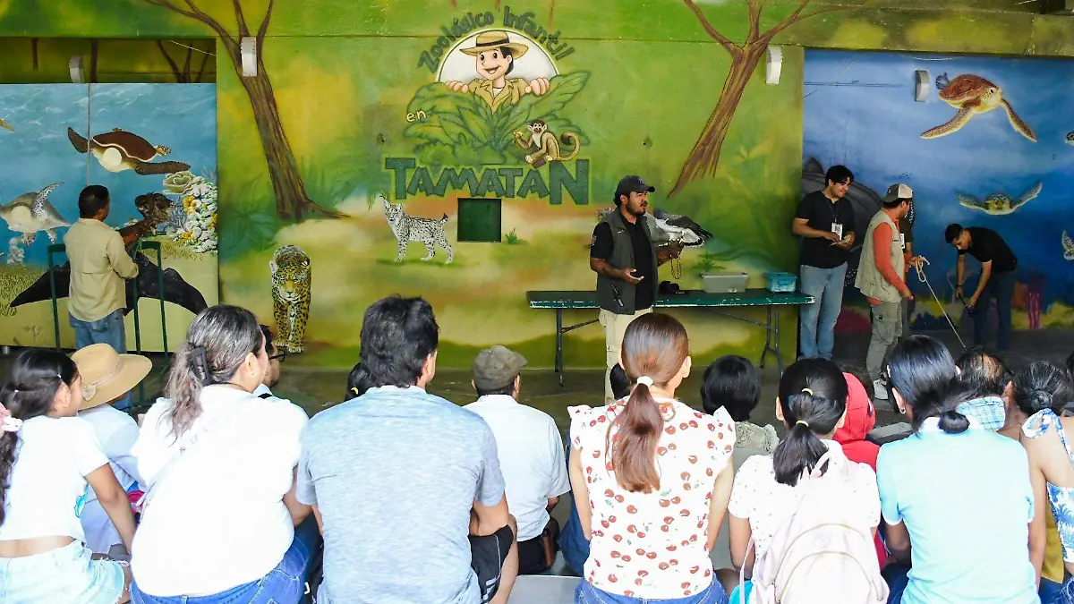 tamatán zoológico
