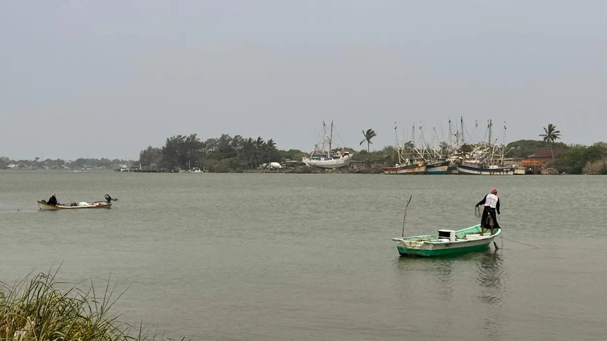 La Comisión Nacional de Pesca decretó la veda de camarón en los sistemas lagunarios estuarinos de Tamaulipas