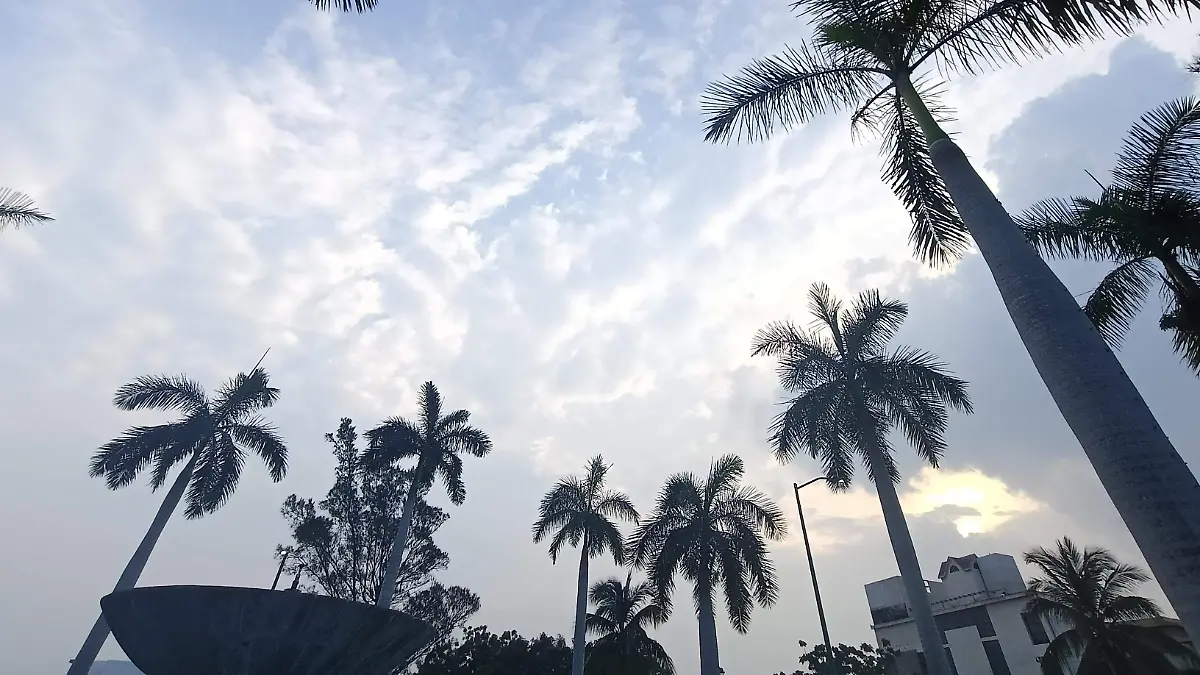 1000157924