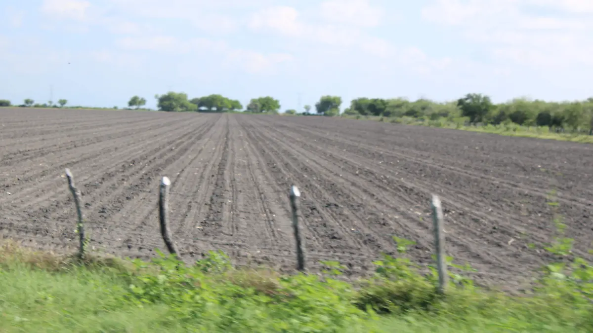 MAD Los agrícultores