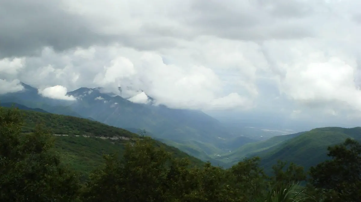 Sierra de tamaulipas  conanp 1