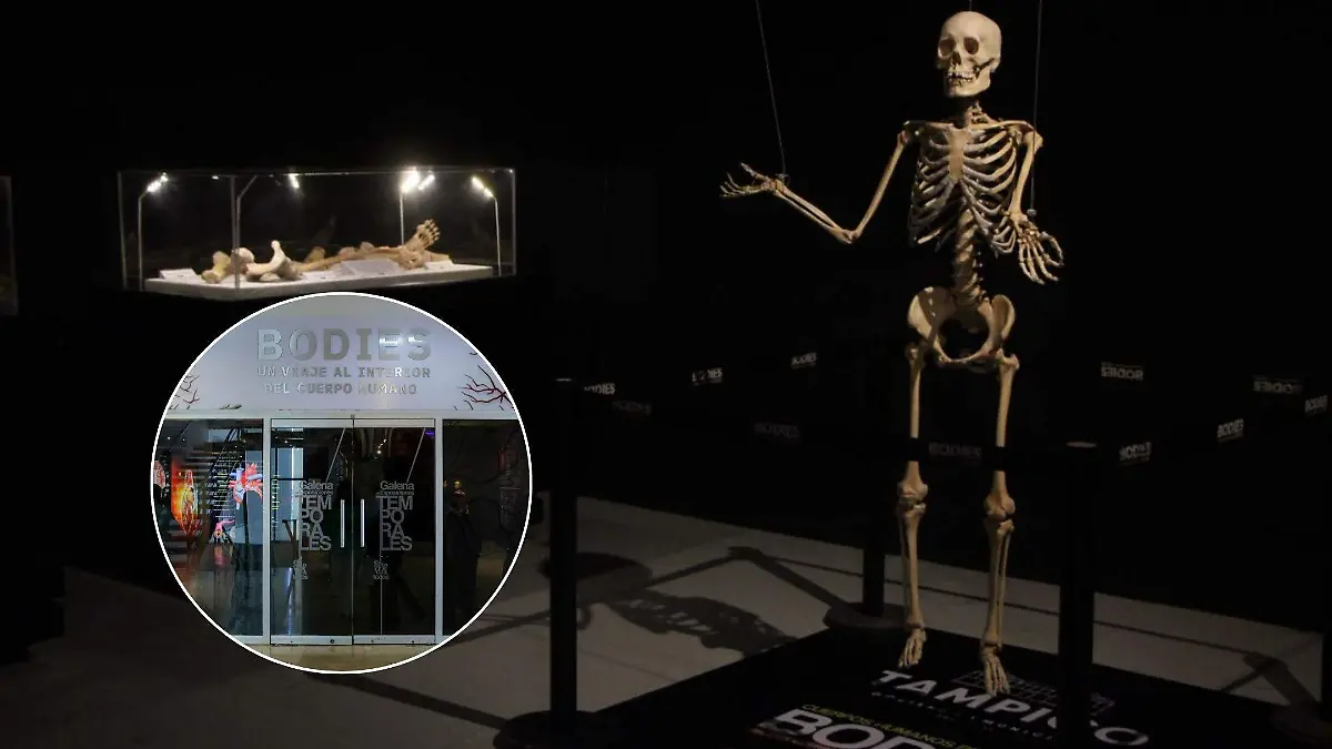 La exposición Bodies llegó a Tampico este miércoles