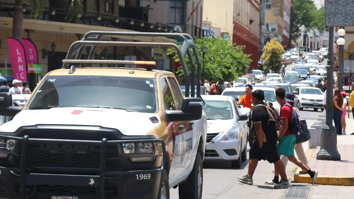 INDICE SEGURIDAD