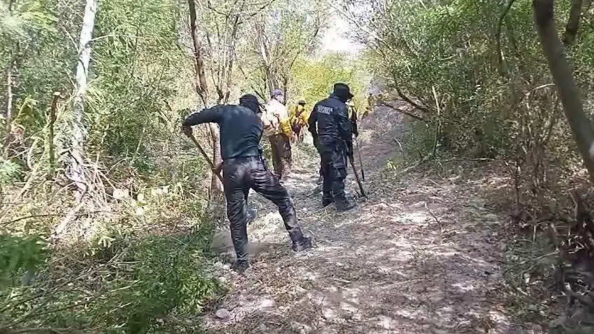 JMC-SE ACITIVÓ EL PLAN TAMAULIPAS